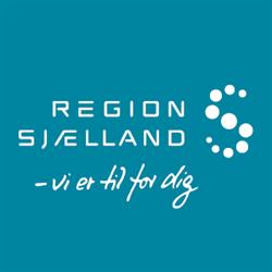 Forberedelsesudvalget For Region Sjælland