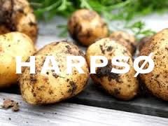 Harpsø-Kartofler Jens Peter Larsen