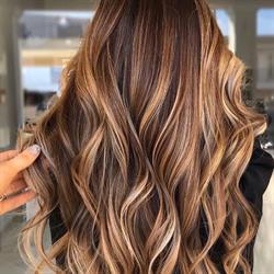 Salon kløve
