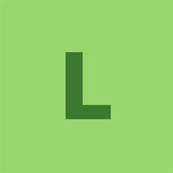 L t Biler