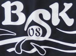 Bsk 08