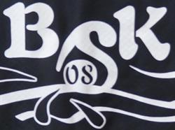 Bsk 08