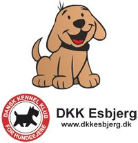 Dkk Esbjerg