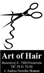 Art Of Hair