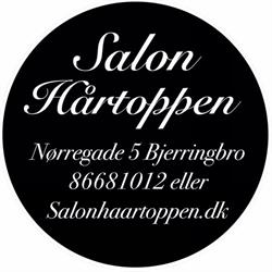 Salon Hårtoppen