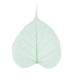 Dansk Institut for Psykoterapi og Uddannelse