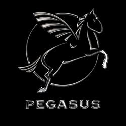 Pegasus Reklame & Mangeting