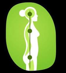 Body Alignment