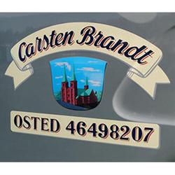 Carsten Brandt