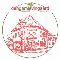 Gamle Vingaard, Den