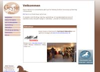 Geysir Heste og Geysir It I/S
