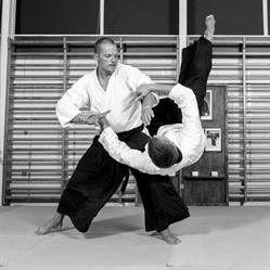Svendborg Aikido Skole