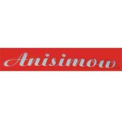 Anisimow Transport