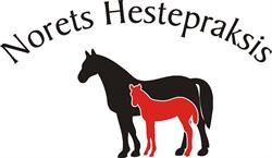 Norets Hestepraksis