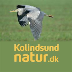 Pumpelaget Kolindsund