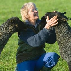 Birkemosehus