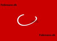 Kenneth Folkmanns webside