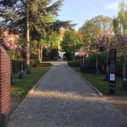 Vor Frelser Kirkegård