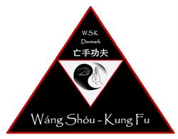 Wáng Shóu Kung-Fu