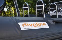 Diveline v/Brian Pedersen V/Brian Pedersen, Brian Pedersen