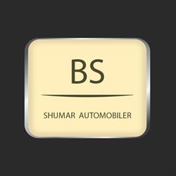 B. S Biler