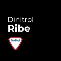 Dinitrol Ribe v/Tommy Madsen