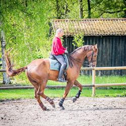 Gunnarsholm Ridecenter Henrik C Cristfort Trine M Hansen