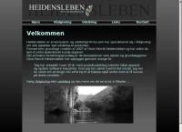 Heidensleben
