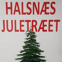 Halsnæs Juletræet I/S