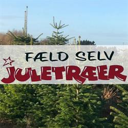 Fæld selv juletræer fra O-Green i Karlslunde
