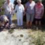 Oploadet af en bruger den 15.06.2018