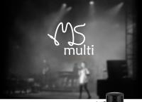 Ms Multi i/S