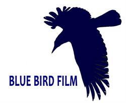 Blue Bird Film v/K. Ottarsdóttir