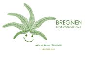 Bregnen Naturbørnehave