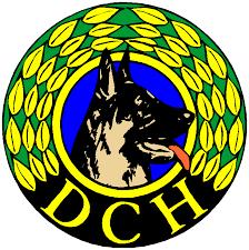Dch Holstebro