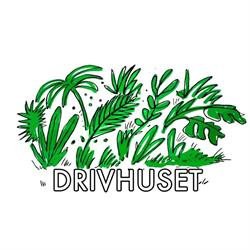 Drivhuset (ungdomshuset)