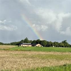 Holstebro Hestepraksis ApS