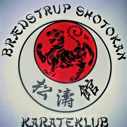 Brædstrup Shotokan Karate