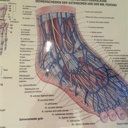 Klinik For Fodterapi v/Anne Dorthe Toft Hansen, Anne Dorthe Toft Hansen