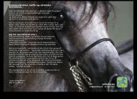 Galloping ApS