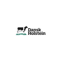 Avlsforeningen Dansk Holstein