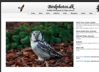 Birdphotos.Dk v/Helge Sørensen