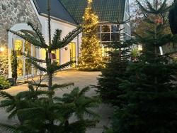 Tollundgaard ApS