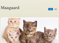 Vagt Center Service Viborg v/Kim Hauris Maagaard