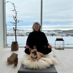 Holistikken v/Gitte Højvang Mørch (gitte Højvang Mørch)