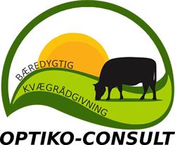 OptiKo - Consult