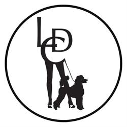 Dyreklinik på Værnedamsvej lechicdog