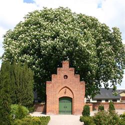 Stillinge Kirke