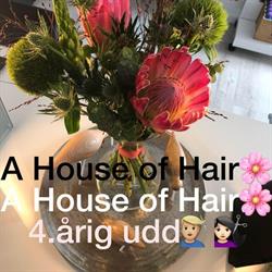 A House of Hair