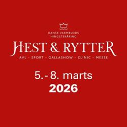 Hest & Rytter